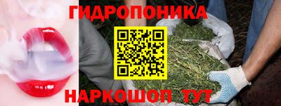 гашиш Шелехов